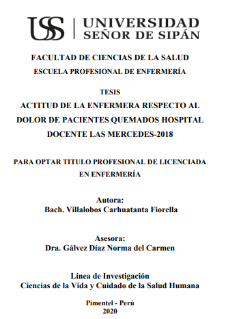 Actitud de la enfermera respecto al dolor de pacientes quemados hospital docente las mercedes-2018