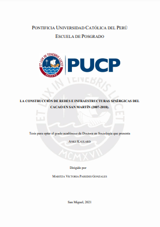 La construcción de redes e infraestructuras sinérgicas del cacao en San Martín (2007-2018)