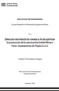 Selección del método de minado a fin de optimizar la producción de la veta Juanita Unidad Minera Fénix-Excavaciones de Piques S.A.C