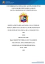 Hábitos alimentarios asociados a los factores de riesgo cardiovascular según el Score Framingham en docentes de nivel inicial de la ciudad de Puno - 2018