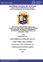 Efecto de la emoliente de linaza (Linum usitatissimum) y educación alimentaria nutricional en el sindrome metabolico premórbido de docentes de la Universidad Nacional del Altiplano – Puno