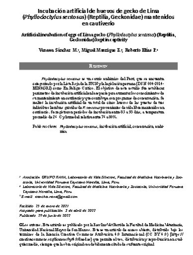 Incubación artificial de huevos de gecko de Lima (Phyllodactylus sentosus) (Reptilia, Geckonidae) mantenidos en cautiverio