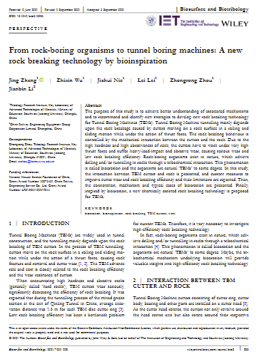 From rock-boring organisms to tunnel boring machines: A new rock breaking technology by bioinspiration