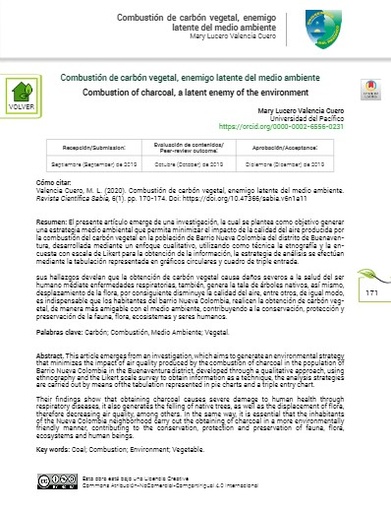 Combustión de carbón vegetal, enemigo latente del medio ambiente