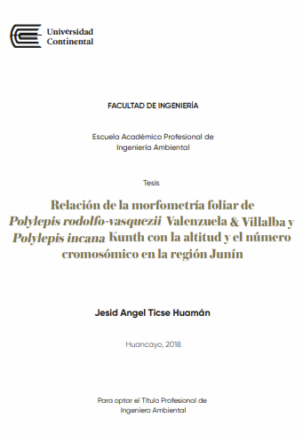 Relación de la morfometría foliar de Polylepis rodolfo-vasquezii Valenzuela &amp; Villalba y Polylepis incana kunth con la altitud y el número cromosómico en la región Junín