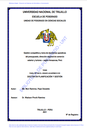 Gestión competitiva y toma de decisiones operativas del presupuesto, dirección regional de comercio exterior y turismo – región Amazonas, Perú