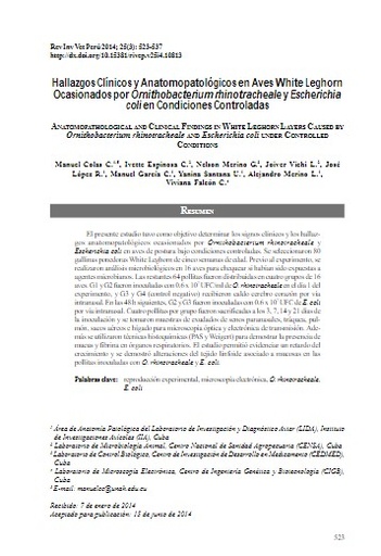 Hallazgos Clínicos y Anatomopatológicos en Aves White Leghorn Ocasionados por Ornithobacterium rhinotracheale y Escherichia coli en Condiciones Controladas