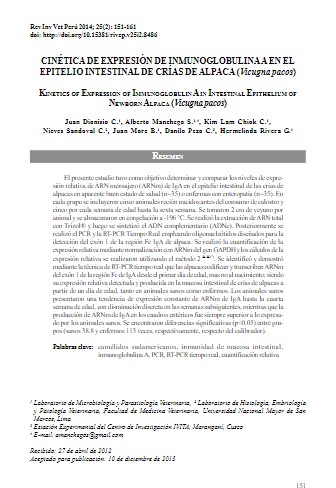 CINÉTICA DE EXPRESIÓN DE INMUNOGLOBULINA A EN EL EPITELIO INTESTINAL DE CRÍAS DE ALPACA (Vicugna pacos).