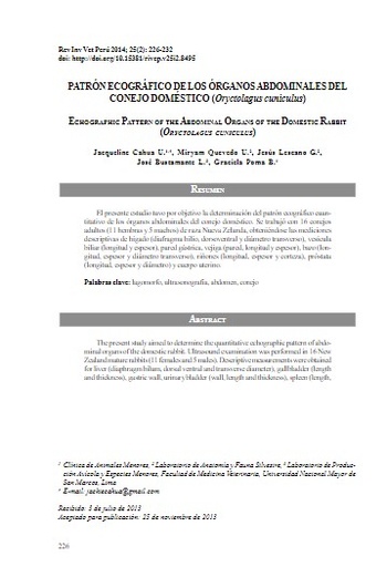 PATRÓN ECOGRÁFICO DE LOS ÓRGANOS ABDOMINALES DEL CONEJO DOMÉSTICO (Oryctolagus cuniculus).