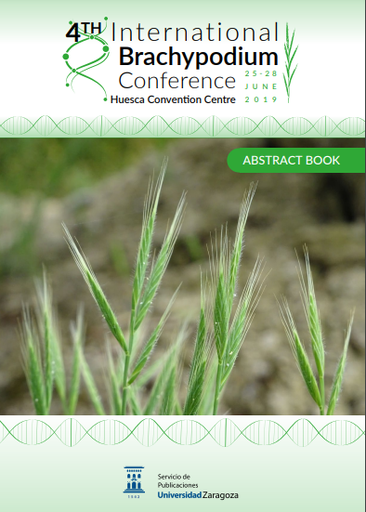 4th International Brachypodium Conference 2019 : ABSTRACT BOOK; 1ª ed.