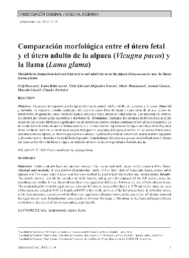 Comparación morfológica entre el útero fetal y el útero adulto de la alpaca (Vicugna pacos) y la llama (Lama glama)