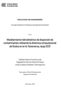 Modelamiento hidrodinámico de dispersión de contaminantes utilizando la dinámica computacional de fluidos en el río Yanamarca, Jauja 2021
