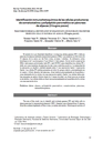 Identificación inmunohistoquímica de las células productoras de somatostatina y polipéptido pancreático en páncreas de alpacas (Vicugna pacos)