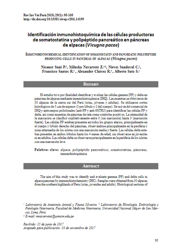 Identificación inmunohistoquímica de las células productoras de somatostatina y polipéptido pancreático en páncreas de alpacas (Vicugna pacos)