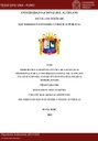 Medición de la eficiencia técnica de las escuelas profesionales de la Universidad Nacional del Altiplano: una aplicación del Análisis Envolvente de Datos (DEA), periodo 2014-2018