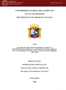 Análisis del presupuesto por resultados y el desempeño financiero, en la Gestión Financiera Pública de la Universidad Nacional del Altiplano Puno, período 2012 - 2019