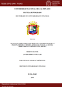 Incentivos tributarios para reducir la informalidad de la pequeña minería y minería artesanal en base al sistema tributario en la región Puno, 2016 - 2017