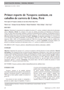 Primer reporte de Neospora caninum, en caballos de carrera de Lima, Perú