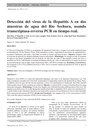 Detección del virus de la Hepatitis A en dos muestras de agua del Río Sechura, usando transcriptasa-reversa PCR en tiempo real.