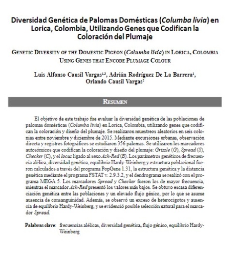 Diversidad Genética de Palomas Domésticas (Columba livia) en Lorica, Colombia, Utilizando Genes que Codifican la Coloración del Plumaje