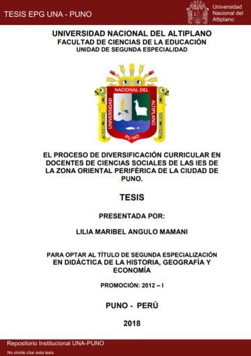 El proceso de diversificación curricular en docentes de Ciencias Sociales de las IES de la zona oriental periférica de la ciudad de Puno