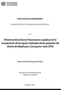 Influencia del protozoo Paramecium caudatum en la recuperación de las aguas residuales de las queserías del distrito de Matahuasi, Concepción- Junín 2019