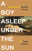 A Boy Asleep under the Sun: Versions of Sandro Penna