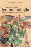 Ensaios sobre fenomenologia: Husserl, Heidegger e Merleau-Ponty