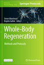 Whole-Body Regeneration