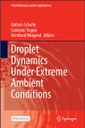 Droplet Dynamics Under Extreme Ambient Conditions