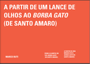 A partir de um lance de olhos ao borba gato (de santo amaro)