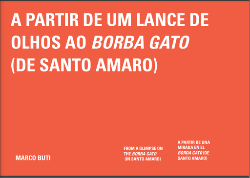 A partir de um lance de olhos ao borba gato (de santo amaro)