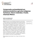 Comparação socioambiental em sistemas produtivos agrícolas indígenas: Tontotuna, Totoró-Colômbia e Tsotsil, Chamula-México