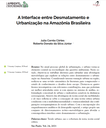 A Interface entre Desmatamento e Urbanização na Amazônia Brasileira
