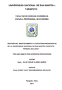 Gestión de abastecimiento y ejecución presupuestal de la Universidad Nacional de San Martín Tarapoto 2011-2015