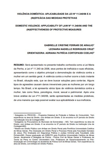 Violência doméstica: aplicabilidade da lei nº 11.340/06 e a (in)eficácia das medidas protetivas