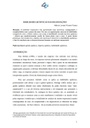 Habilidades quânticas nas organizações