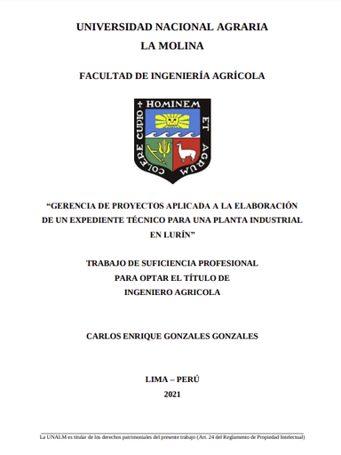 Gerencia de proyectos aplicada a la elaboración de un expediente técnico para una planta industrial en Lurín