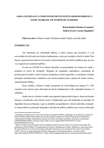 A boa governança como instrumento efetivador do direito à saúde no Brasil em tempos de pandemia