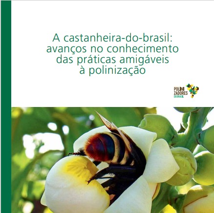 A castanheira-do-brasil: avanços no conhecimento das práticas amigáveis à polinização