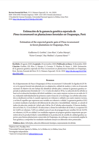 Estimación de la ganancia genética esperada de Pinus tecunumanii en plantaciones forestales en Oxapampa, Perú