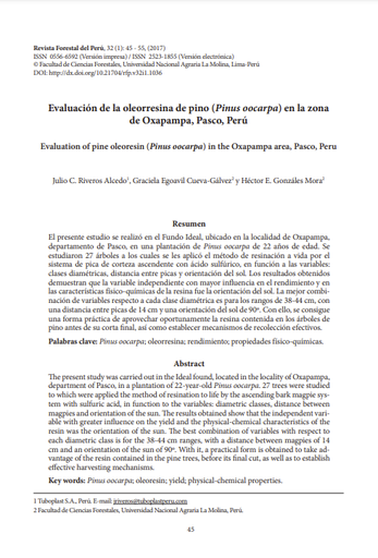 Evaluación de la oleorresina de Pinus oocarpa en la zona de Oxapampa, Pasco, Perú