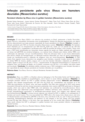 Infecção persistente pelo vírus Ilheus em hamsters dourados (Mesocricetus auratus)
