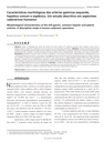 Morphological characteristics of the left gastric, common hepatic and splenic arteries. A descriptive study in human cadaveric specimens