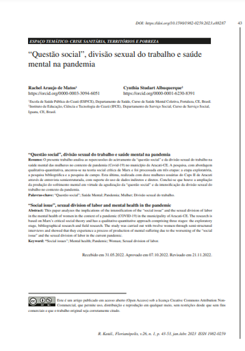 “Questão social”, divisão sexual do trabalho e saúde mental na pandemia
