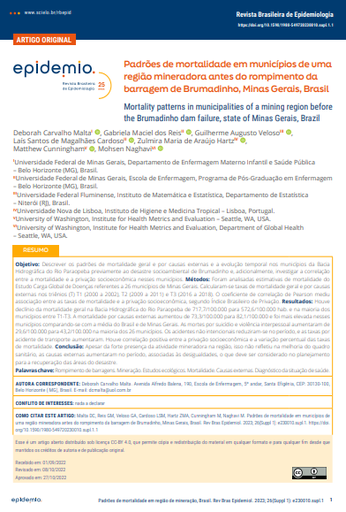 Mortality patterns in municipalities of a mining region before the Brumadinho dam failure, state of Minas Gerais, Brazil