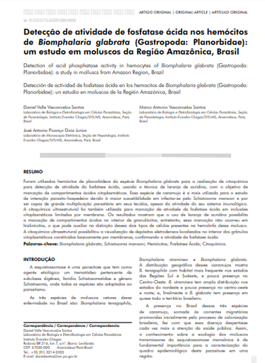 Detecção de atividade de fosfatase ácida nos hemócitos de Biomphalaria glabrata(Gastropoda: Planorbidae): um estudo em moluscos da Região Amazônica, Brasil