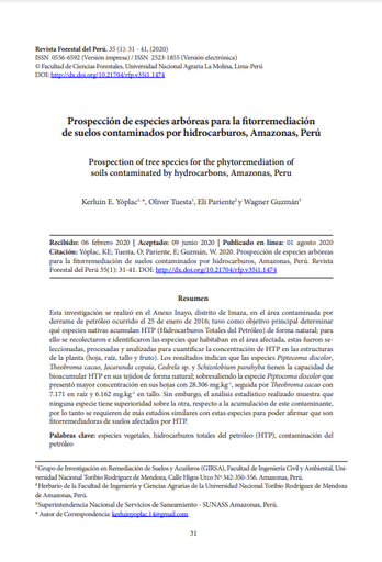 Prospección de especies arbóreas para la fitorremediación de suelos contaminados por hidrocarburos, Amazonas, Perú