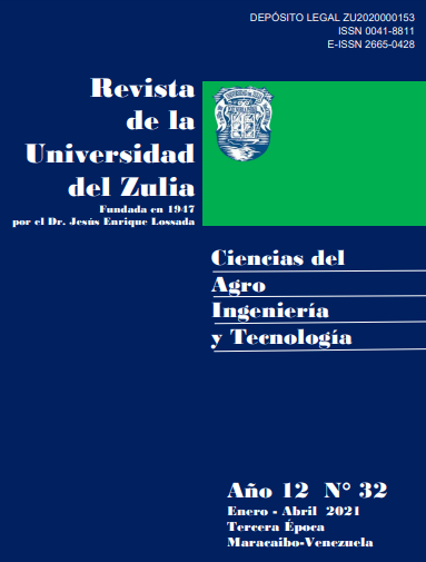 Desarrollo de habilidades investigativas desde la experiencia de los estudiantes de Ingeniería