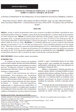 Efeitos da exposição perinatal à aguardente sobre o córtex cerebral de ratos